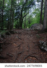 澳门AG真人游戏:体验真实赌场的刺激与乐趣