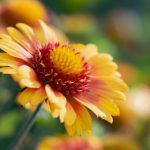 千亿平台官网:开启您的财富增长新篇章 n84tqir7ub