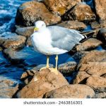 利发官方网站平台:探索安全可靠的在线娱乐平台 p0p1wd5