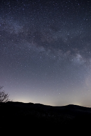 冠亚体育最新动态:关注赛事信息与精彩回顾