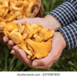 利澳官方网站:探索最新优惠活动与精彩游戏体验 r80ygm