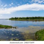 体验熊猫四川麻将游戏,畅享传统与现代的完美结合 t5mc5